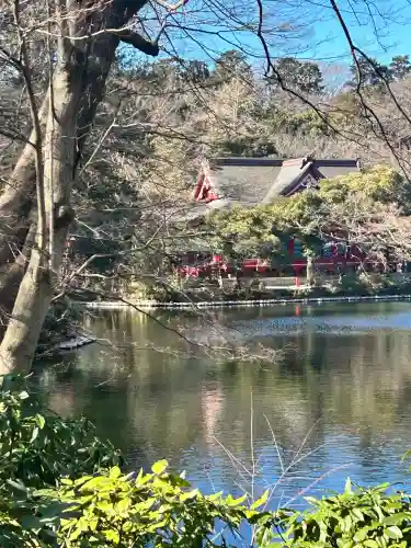 井の頭弁財天（大盛寺）(東京都)