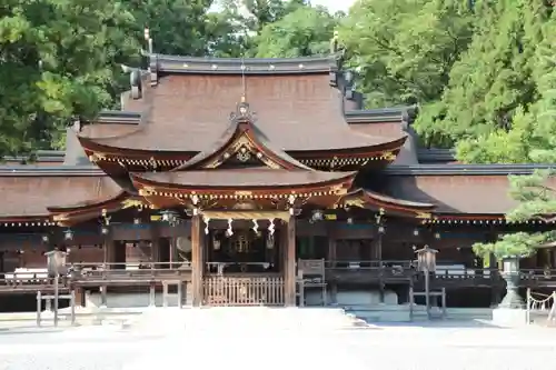 多賀大社の本殿・本堂