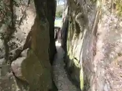 阿賀神社の建物その他