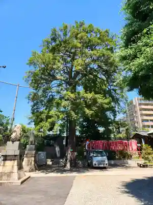 下神明天祖神社の{uncategorized: "未分類", other: "その他", undefined: "問題あり", building: "その他建物", grave: "お墓", sacred_gate: "鳥居", guardian: "狛犬", statue: "像", buddha: "仏像", history: "歴史", nature: "自然", garden: "庭園", animal: "動物", pagoda: "塔", temizu: "手水舎", mountain_gate: "山門・神門", sanctuary: "本殿・本堂", subordinate: "末社・摂社", art: "芸術", scenery: "景色", jizo: "地蔵", ema: "絵馬", goshuin: "御朱印", omikuji: "おみくじ", items: "授与品その他", amulet: "お守り", goshuincho: "御朱印帳", eats: "食事", festival: "お祭り", votive_dance: "神楽", shichigosan: "七五三参", wedding: "結婚式", experience: "体験その他", initially: "初詣", around: "周辺", anti_infection: "感染症対策"}