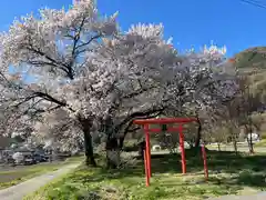 天神宮(伝河原氏屋敷跡)の自然