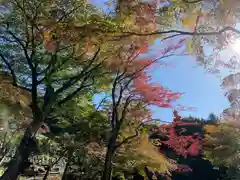 普門寺(切り絵御朱印発祥の寺)(愛知県)