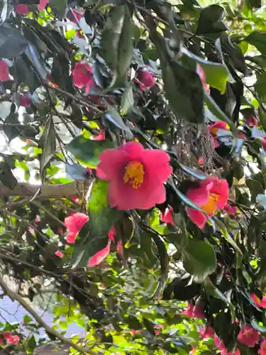青海神社(新潟県)