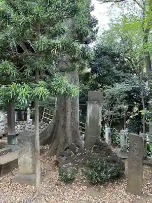 駒繋神社(東京都)