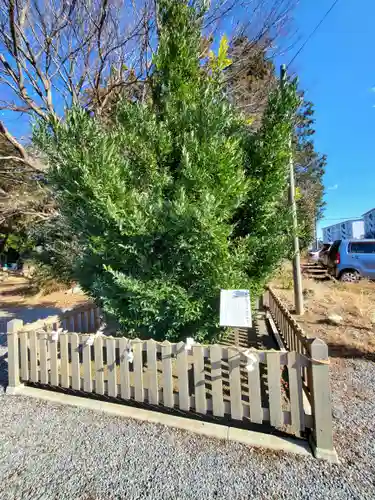 百頭神明宮(栃木県)
