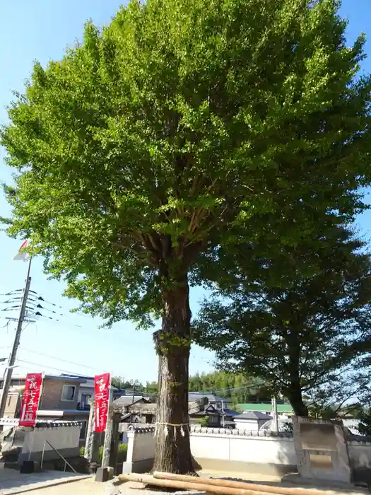 白山神社の建物その他