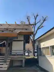 朝里神社の建物その他