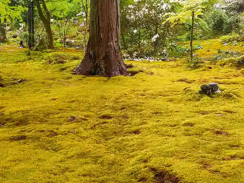 三千院門跡(京都府)