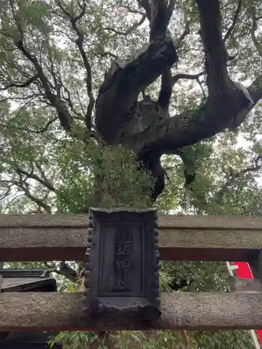 住吉大社(大阪府)
