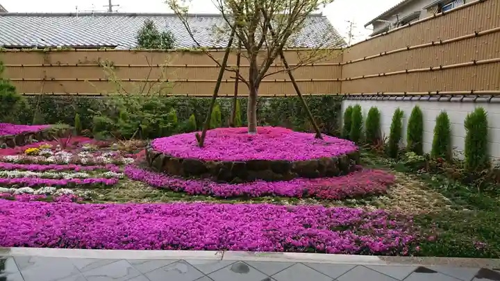 寿量山 速成寺の庭園