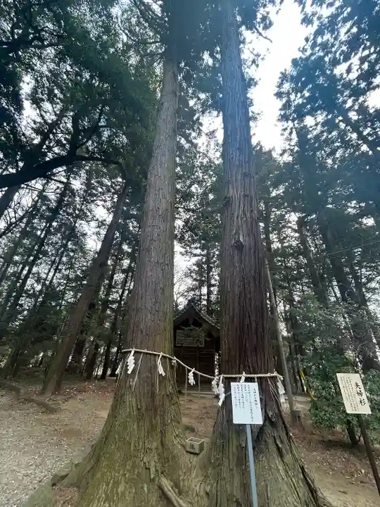 間々田八幡宮(栃木県)