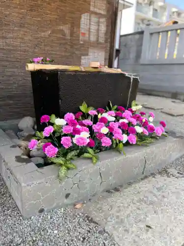 上尾御嶽神社の手水