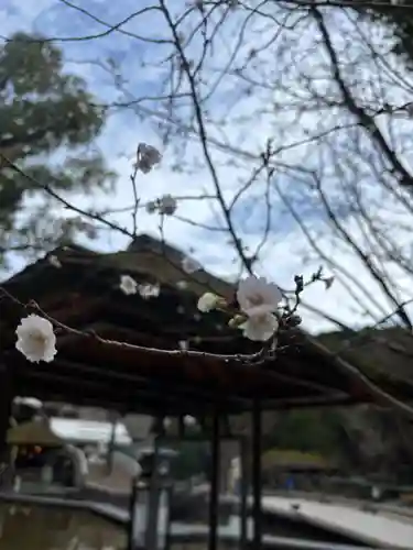 熱田神宮(愛知県)