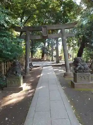 渋谷氷川神社の鳥居
