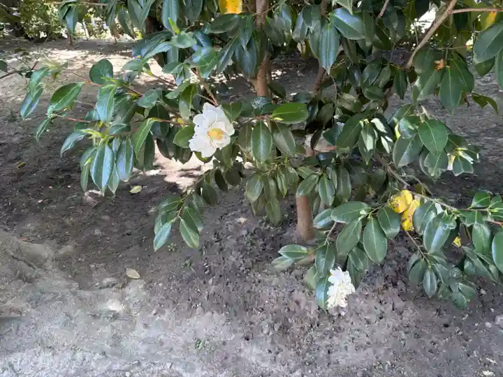 城南宮(京都府)