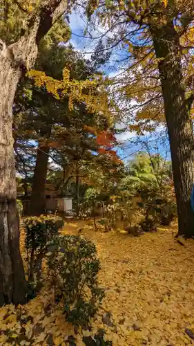 観音寺(京都府)