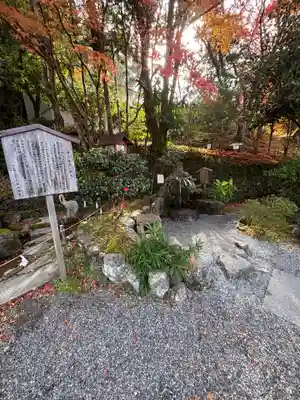 出雲大神宮(京都府)