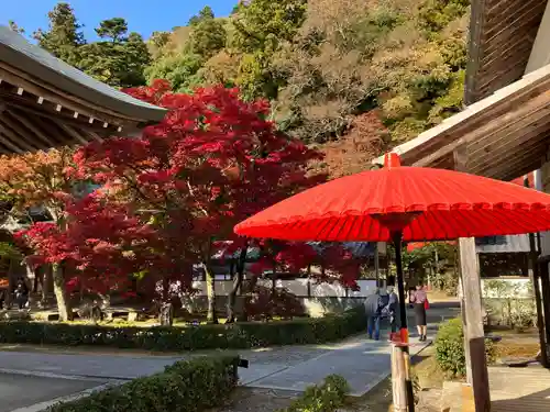 永源寺の庭園