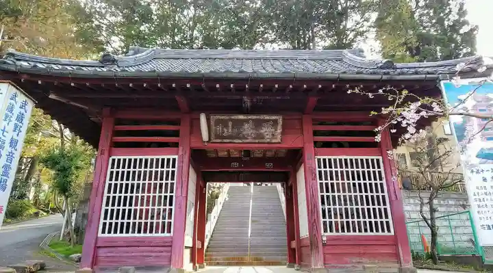 金乗院放光寺の山門・神門