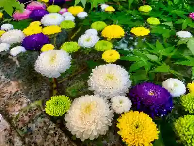 滑川神社 - 仕事と子どもの守り神の手水舎