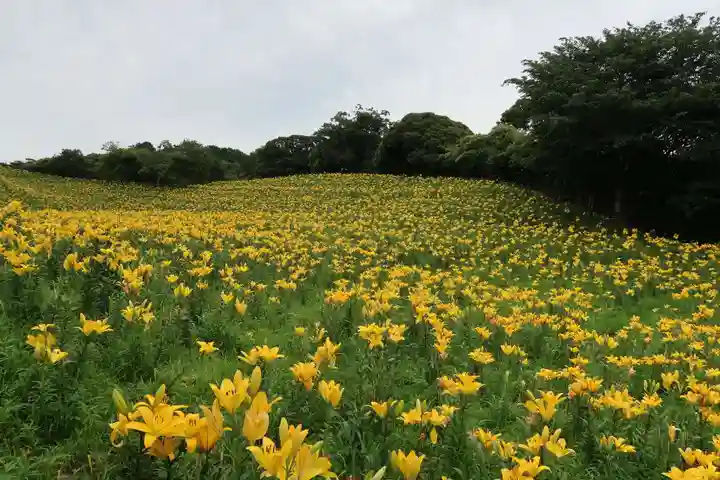 西樂寺(静岡県)