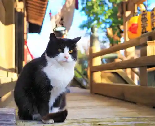 今市報徳二宮神社(栃木県)