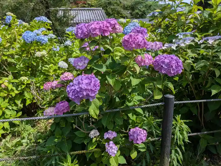 本土寺(千葉県)