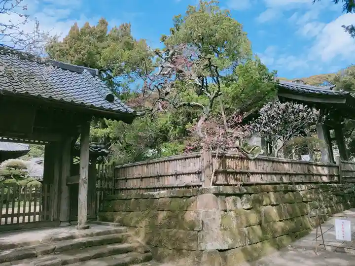 寿福寺(神奈川県)