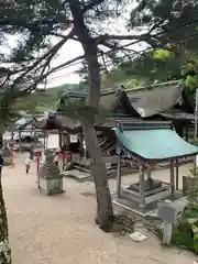 白鬚神社(滋賀県)