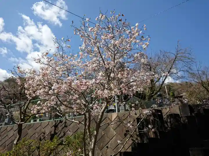観音寺のその他建物