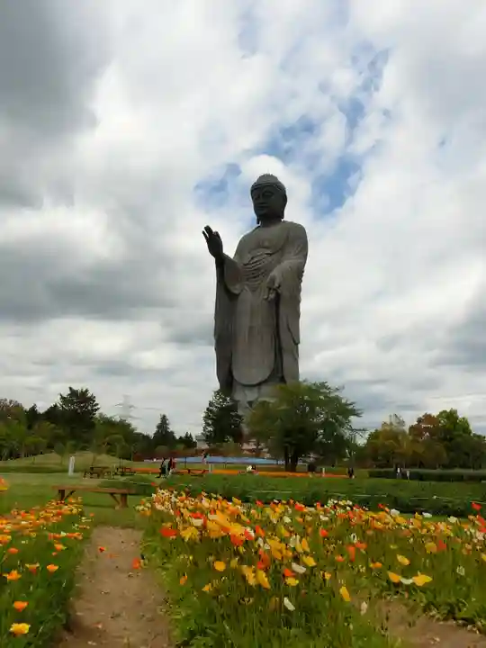 東本願寺本廟 牛久浄苑(牛久大仏)の仏像