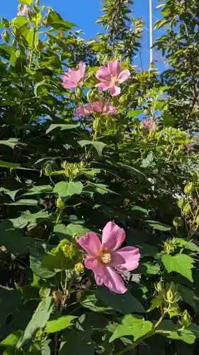 平野神社(京都府)