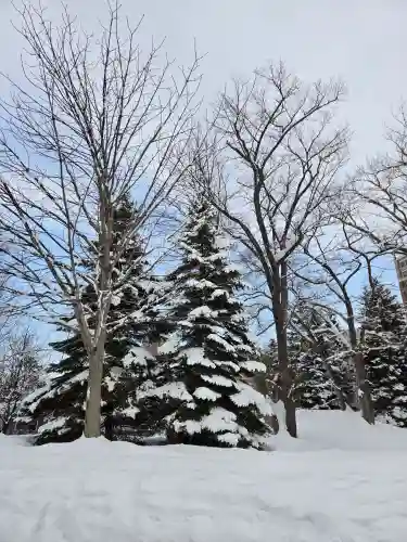 多賀神社(北海道)