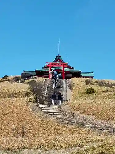 箱根元宮の自然