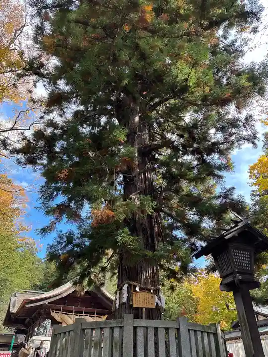 諏訪大社下社秋宮(長野県)