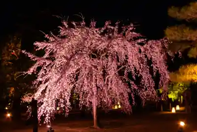 平安神宮(京都府)