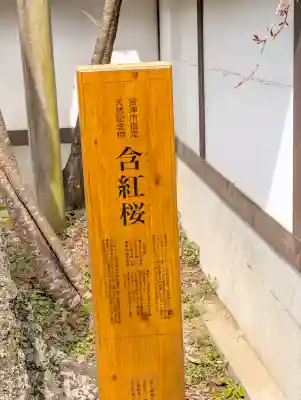 山王宮日吉神社の{uncategorized: "未分類", other: "その他", undefined: "問題あり", building: "その他建物", grave: "お墓", sacred_gate: "鳥居", guardian: "狛犬", statue: "像", buddha: "仏像", history: "歴史", nature: "自然", garden: "庭園", animal: "動物", pagoda: "塔", temizu: "手水舎", mountain_gate: "山門・神門", sanctuary: "本殿・本堂", subordinate: "末社・摂社", art: "芸術", scenery: "景色", jizo: "地蔵", ema: "絵馬", goshuin: "御朱印", omikuji: "おみくじ", items: "授与品その他", amulet: "お守り", goshuincho: "御朱印帳", eats: "食事", festival: "お祭り", votive_dance: "神楽", shichigosan: "七五三参", wedding: "結婚式", experience: "体験その他", initially: "初詣", around: "周辺", anti_infection: "感染症対策"}