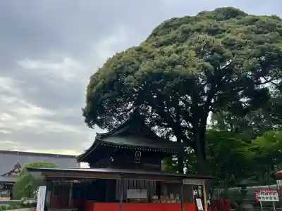 大前神社の{uncategorized: "未分類", other: "その他", undefined: "問題あり", building: "その他建物", grave: "お墓", sacred_gate: "鳥居", guardian: "狛犬", statue: "像", buddha: "仏像", history: "歴史", nature: "自然", garden: "庭園", animal: "動物", pagoda: "塔", temizu: "手水舎", mountain_gate: "山門・神門", sanctuary: "本殿・本堂", subordinate: "末社・摂社", art: "芸術", scenery: "景色", jizo: "地蔵", ema: "絵馬", goshuin: "御朱印", omikuji: "おみくじ", items: "授与品その他", amulet: "お守り", goshuincho: "御朱印帳", eats: "食事", festival: "お祭り", votive_dance: "神楽", shichigosan: "七五三参", wedding: "結婚式", experience: "体験その他", initially: "初詣", around: "周辺", anti_infection: "感染症対策"}