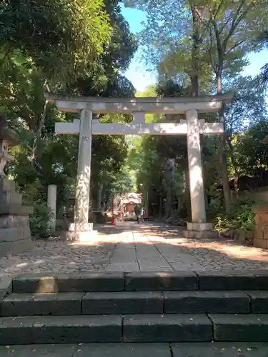 代々木八幡宮の鳥居
