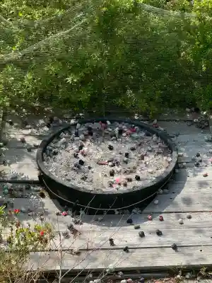 清水観音堂(東京都)