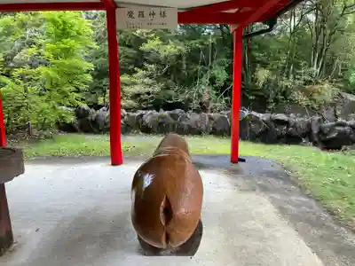 陰陽石神社(宮崎県)
