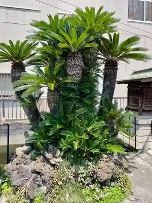 嚴島神社(千葉県)