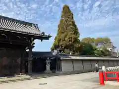 本徳寺(兵庫県)