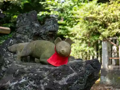 駒込稲荷神社(東京都)