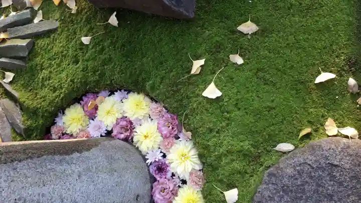 行田八幡神社(埼玉県)