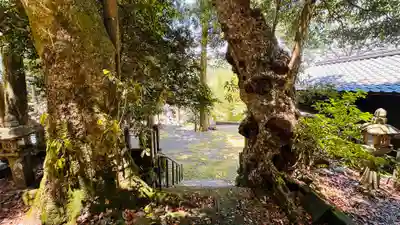 泉神社(福井県)