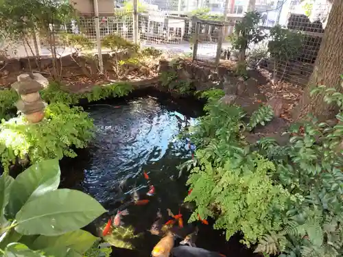 九頭龍権現水神社(東京都)
