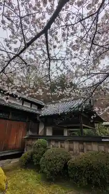 勝持寺（花の寺）(京都府)