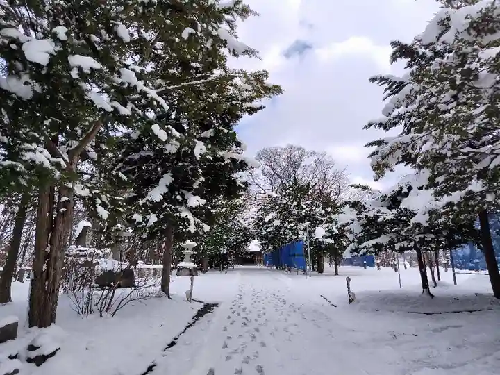 東神楽神社の景色