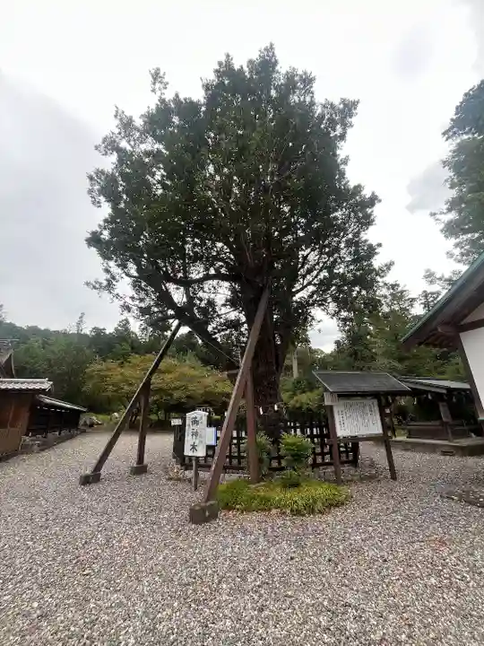 天宮神社(静岡県)